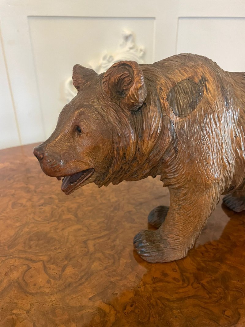 Large Antique 19th Century Quality Carved Black Forest Bear - Image 6